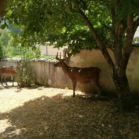 La Finestra Sul Parco Appartement Villetta Barrea