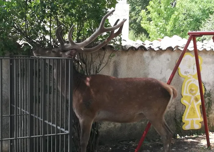 Apartmán La Finestra Sul Parco *