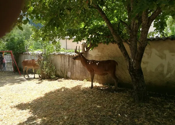 La Finestra Sul Parco Appartement Villetta Barrea